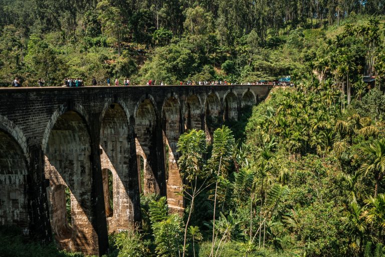 Mehr über den Artikel erfahren Sri Lanka – Teil 2 – Januar 2022