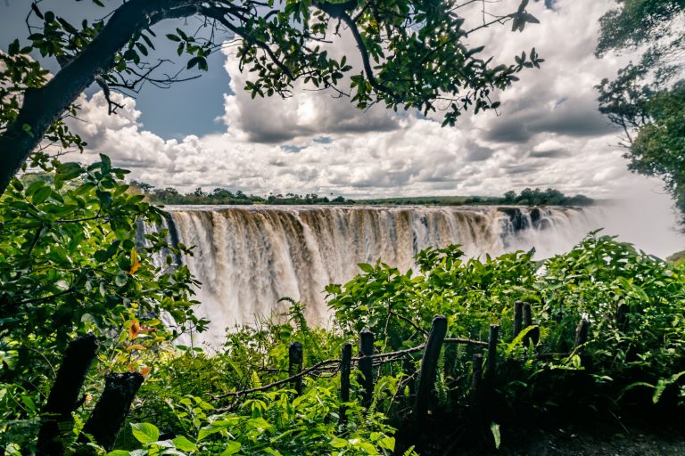 Mehr über den Artikel erfahren ZAMBIA & ZIMBABWE – März 2022