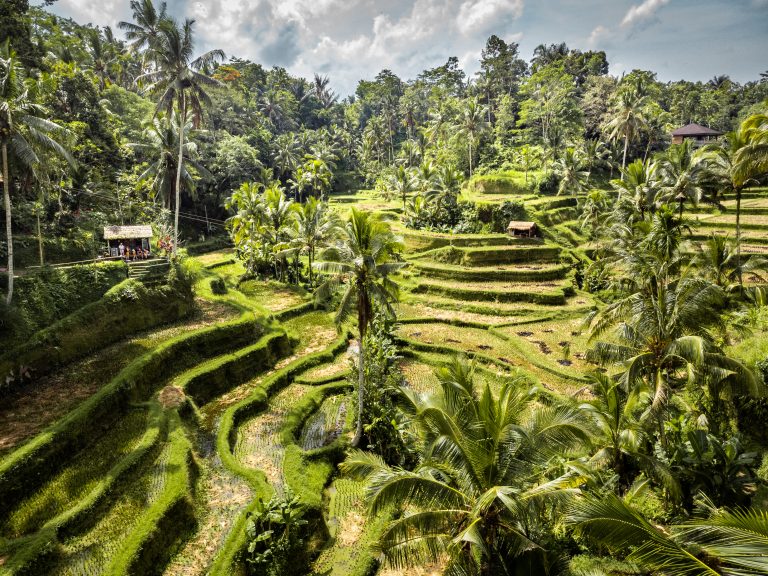 Mehr über den Artikel erfahren Indonesien Teil1 – Juni 2022